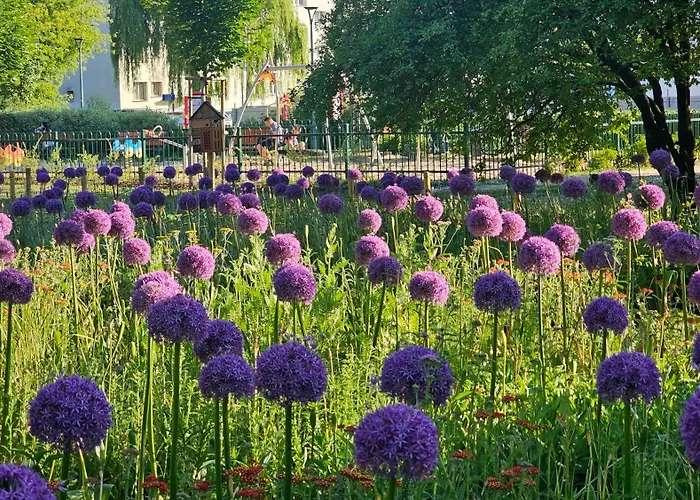 5 Min Do Centrum Koneser, Blisko Dworzec Wschodni By Visitwarsaw